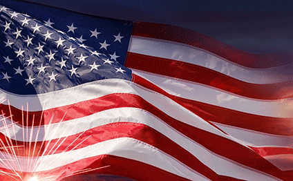 USA ESTA
